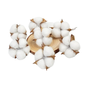 Natural dried cotton bolls on a rustic wooden base for Christmas floral decoration