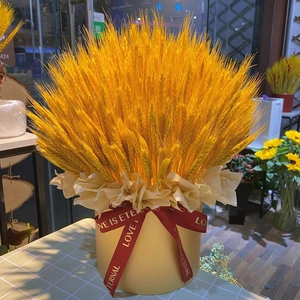 Bouquet di spighe di grano essiccate dorate in una confezione regalo beige con nastro rosso