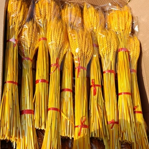 Steli di Spighe di Grano Essiccati Dorati Naturali per Centrotavola Casa Fattoria Decorazioni Matrimonio Oggetti di Scena