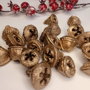 Golden dried bell cup seed pods with metallic finish for Christmas DIY floral decoration
