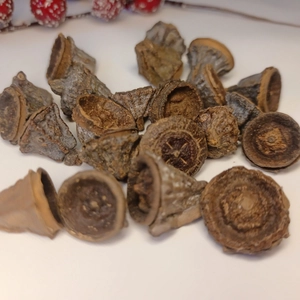 Dried natural eucalyptus seed pods in brown tones for DIY Christmas floral wreath decor