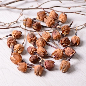 Natural dried flower pods for Christmas wreath decoration on white wood background