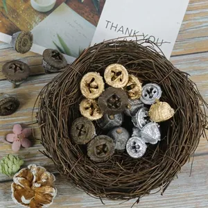 Dried natural eucalyptus seeds in gold and silver finish for rustic home decor crafts