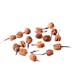 Natural dried flower buds for tea and botanical crafts on a clean white background