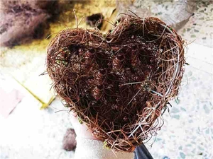 Detailed view of a handmade heart-shaped vine planter held in hand for garden decor