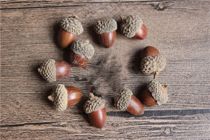 Natural Dried Acorns With Caps For Christmas Home Decor DIY Wreath Crafting Material Pastoral Style Photo Props Accessories