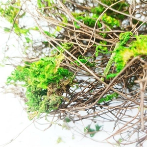 Artificial moss and dried vine bundle for miniature garden landscaping and home decor