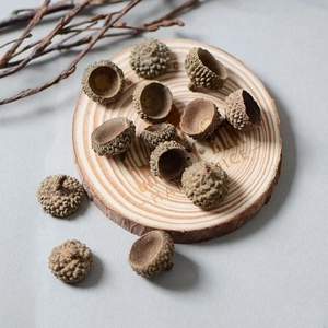 Natural dried acorn caps for woodland wedding decor and DIY forest crafts on wood