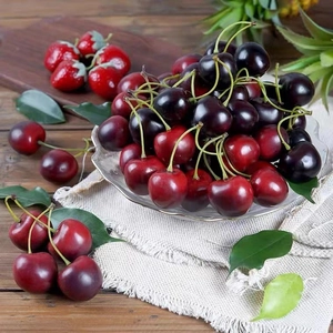 Realistic artificial cherries for home decor and high-quality photography props