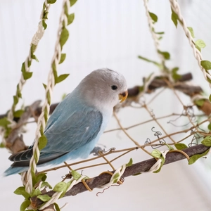 Natural wood parrot swing with green leaves for climbing and standing bird cage accessory