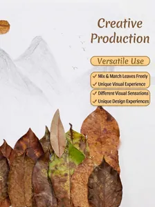 DIY natural dried leaf collage kit with assorted vintage leaves for wedding creative decor