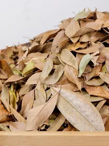 Natural dried leaves collection for rustic wedding decor and autumn window displays