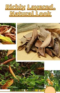 Natural dried tree leaves with detailed veins for vintage photography and home decor