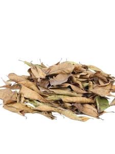 Natural dried leaves for wedding decor and photography backdrop with vintage texture