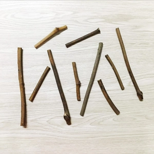 Natural Dry Rattan Branches Wood Sticks For DIY Craft Handmade Kindergarten Art Decoration Pastoral Style Home Decor