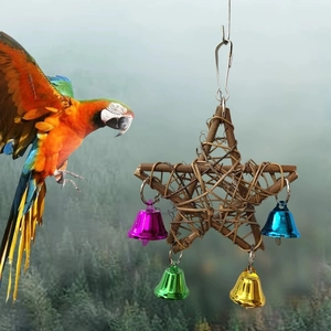 Star-shaped rattan bird toy with colorful metal bells and parrot interaction display