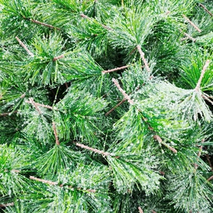 Artificial Christmas Pine Needle Branch With Faux Snow Flocking For DIY Xmas Wreath Tree Decoration Winter Home Decor