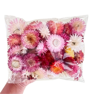 Gekleurde gedroogde strobloemen in transparante zak voor DIY-knutselen en woondecoratie
