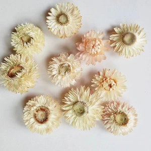 Detailopname van gedroogde strobloemen in crème wit en roze voor DIY-bloemstukken