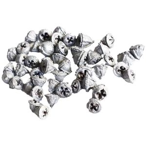 Goldene getrocknete Eukalyptussamen mit Silber-Metallic-Finish für DIY Weihnachtsdeko