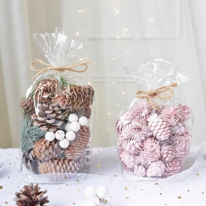 Détail de pommes de pin roses et naturelles dans des sacs cadeaux festifs transparents