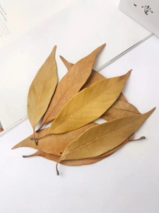 Macro shot of dried natural orange leaves with detailed veins for DIY craft projects