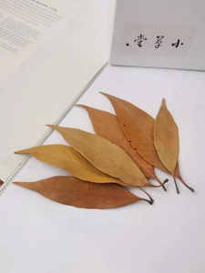 Macro detail of natural dried leaves showing texture next to a vintage book decor