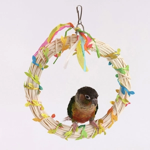Colorful vine parrot swing toy with natural rattan ring and colorful leaf decorations