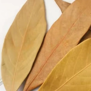 Natural dried bay leaves for DIY handicrafts and wreath decoration projects