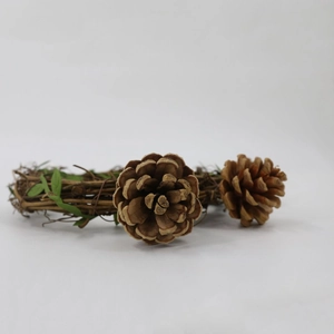 Natural vine bird swing wreath with pine cones and green leaves for small parrots