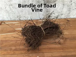 Detail of natural dried brown toad rattan bundle for DIY bird nest and garden decoration