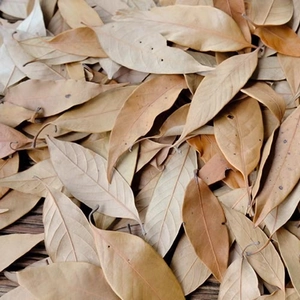 Natural dried autumn leaves for DIY crafts and photography props on wood surface