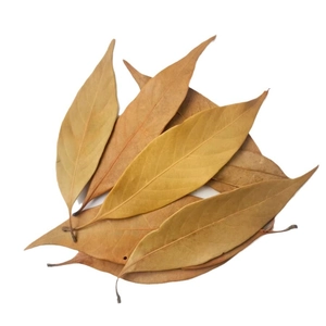 Natural dried orange leaves for DIY crafts and vintage botanical plant specimens