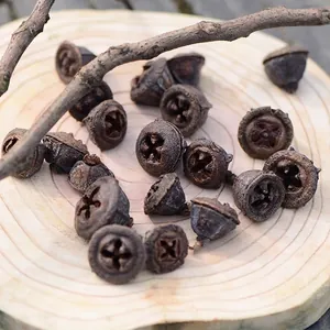 Capsule di frutti incrociati essiccati per ghirlande natalizie e decori nuziali rustici