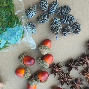 DIY Christmas craft set with dried moss, pine cones, acorns and star anise for decor