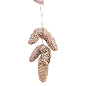 Détail de pommes de pin naturelles avec corde de chanvre pour décoration murale rustique