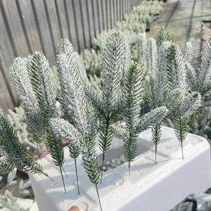 Artificial pine needles with white snow flocking for Christmas floral arrangements