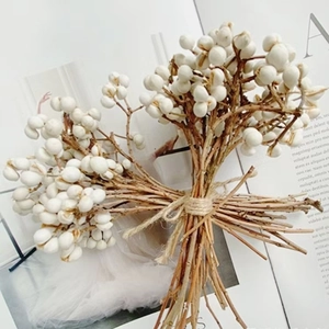 Detail of white tallow berry dried flowers bundled with hemp rope on a magazine