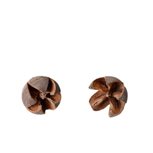 Detailed macro view of two dried brown natural seed pods for creative DIY floral crafts