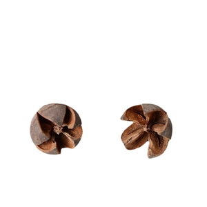 Natural dried cross pod nuts for Christmas wreath making and rustic DIY forest crafts