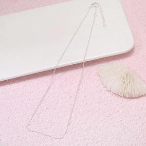 Collier en acier inoxydable poli avec fermoir mousqueton et chaîne d'extension