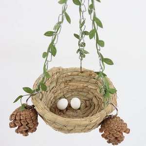Hanging woven straw bird nest with pine cones, green vines and white eggs for parrots
