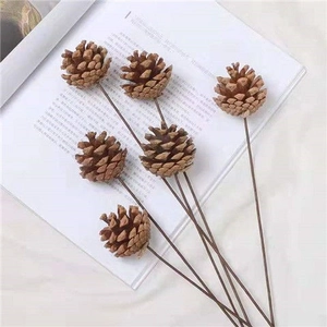 Natural dried pine cones on stems for Christmas DIY crafts and home floral decoration