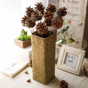 Natural dried pine cones in a woven vase for rustic Christmas home decoration and DIY props