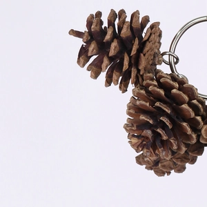 Dettaglio di pigne naturali con anelli in metallo per decorazione gabbia per uccelli