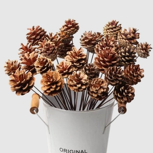 Natural pine cones with brown stems in a vintage white metal bucket for rustic decor