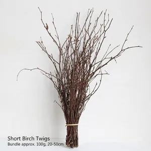Natural Dried Birch Twigs Bundle Decorative Wood Sticks For Home Office Decor Rustic Photography Props DIY Floral Arrangement