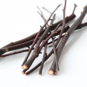 Natural dried apple wood branches for home decor and pet chewing macro view on white