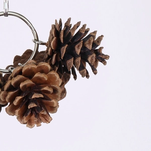 Natural pine cone bird toy with metal rings for parrots and birdcage decoration