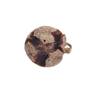 Natural dried soccer fruit pods for Christmas wedding wreaths and floral arrangements